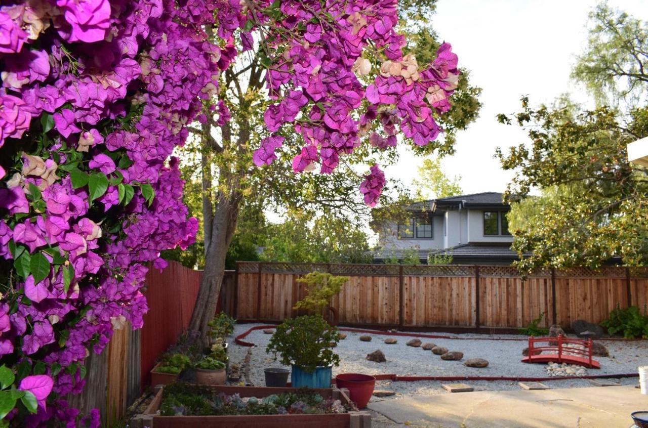 Palo Alto Quiet 1 Bedroom Stanford University Bagian luar foto